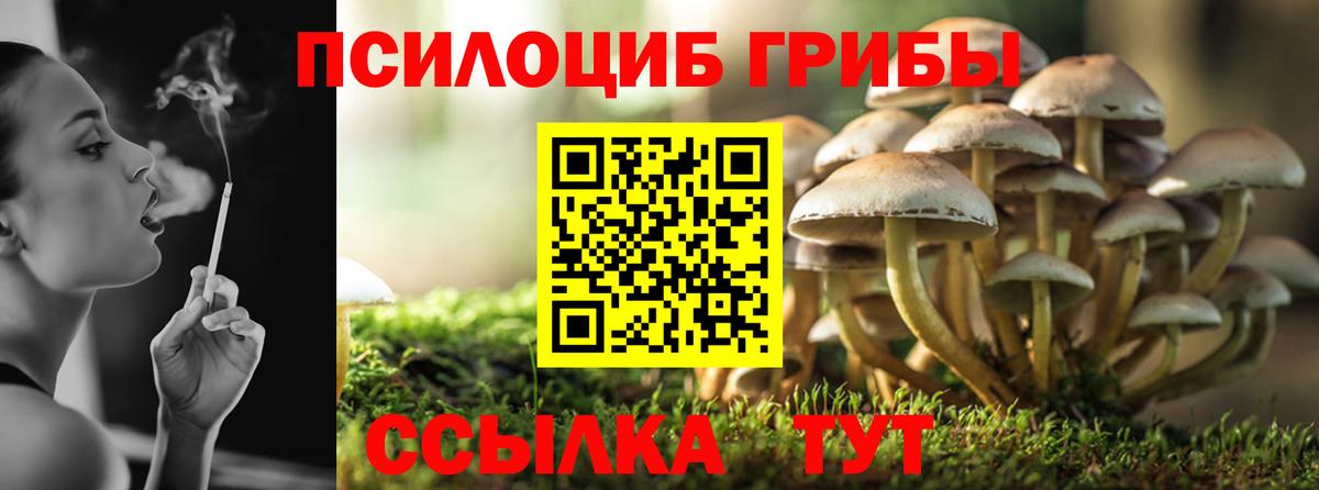 Сосновоборск  Псилоцибиновые грибы ЛСД  Вход с VPN 